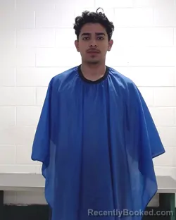 Mugshot of ALEX GONZALEZ