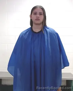 Mugshot of YUDEIMY SANTOYO