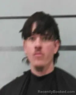 Mugshot of HARLEY JAVIER BRIONES