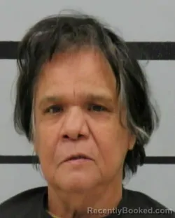 Mugshot of SYLVIA CHAPA