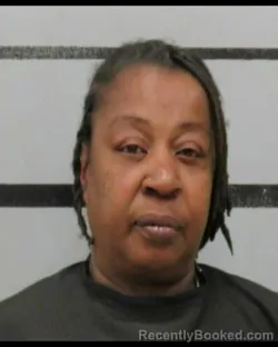 Mugshot of TROYLISA CASTILOW