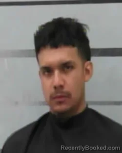 Mugshot of DAVID GARCIA