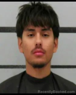 Mugshot of MIGUEL ANGELO LIMON