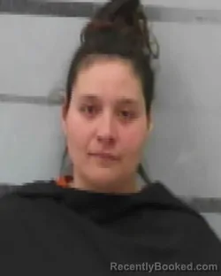 Mugshot of MAEGAN LOWERY