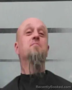 Mugshot of STEVEN SHANNON LANDERS