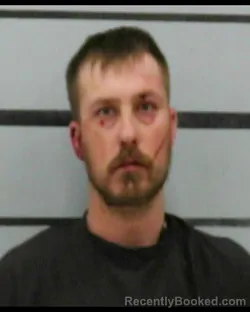 Mugshot of TREVOR ANTHONY LEWING