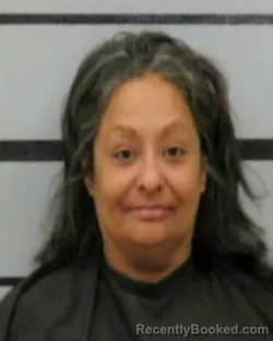 Mugshot of LILIA MARTINEZ