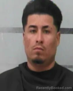 Mugshot of LUIS MORA CRESPO