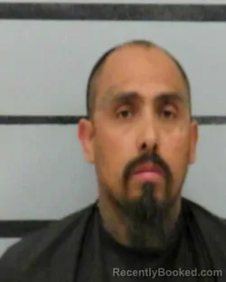 Mugshot of JOSE PEREA