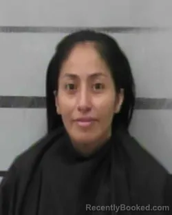 Mugshot of MARIBEL RODRIGUEZ