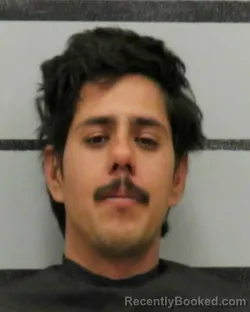 Mugshot of BRANDON SANDOVAL