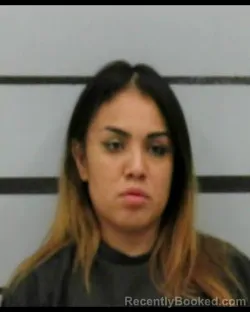 Mugshot of MELLISSA SILVA