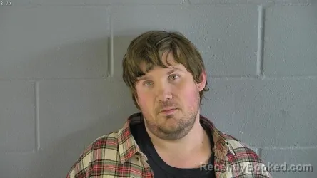 Mugshot of AARON PALMER