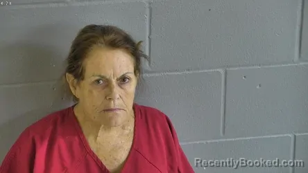 Mugshot of ELIZABETH PATTERSON