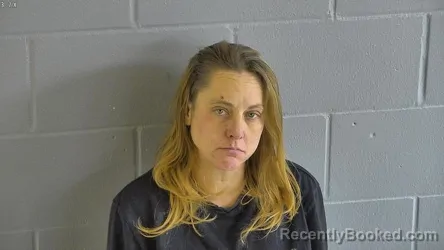 Mugshot of JAMIE LYNN KING
