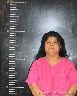 Mugshot of JOAN GONZALEZ LOZANO