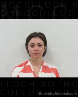 Mugshot of ASHLEE BOWLIN