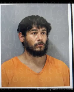 Mugshot of ANGEL JOEL SAAVEDRA