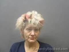 Mugshot of KIMBERLY KRIVAN
