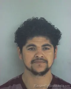 Mugshot of FERNANDO VELASQUEZ