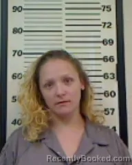 Mugshot of LINDA BROOKE SULLIVAN