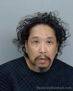 Mugshot of ROBERT J BRONNER