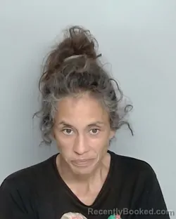 Mugshot of ERICA SERNA