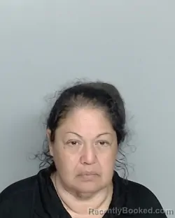 Mugshot of DIANA PUENTE