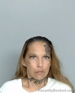 Mugshot of TERRI SWIFT