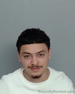 Mugshot of JOHNNY MOLINA