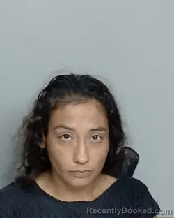 Mugshot of PRISCILLA PEREZ