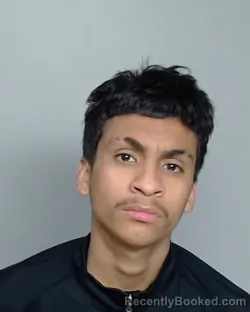 Mugshot of ALEJANDRO RAMIREZ