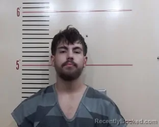 Booking photo from Parker County, Texas