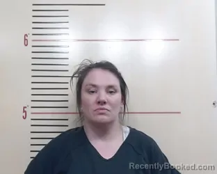Mugshot of Megan Delynn Taylor