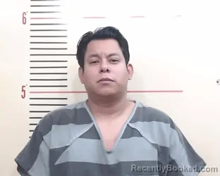 Mugshot of RENE FLORES