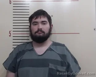 Mugshot of PATRICK ALEN GANN