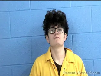 Mugshot of JESUS ALEJANDRO REYES