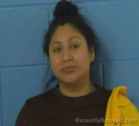 Mugshot of ELSA ISABEL ALVAREZ-CASTRO