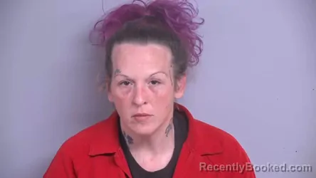 Mugshot of ASHLEY ELIZABETH WILLIAMS