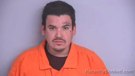 Mugshot of RICHARD HADDEN LAMB