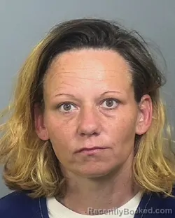 Mugshot of ASHLEY JEAN ANDERSON