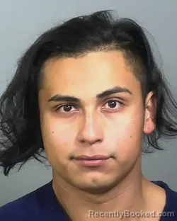 Mugshot of FRANCISCO ANTONIO ALVARENGA