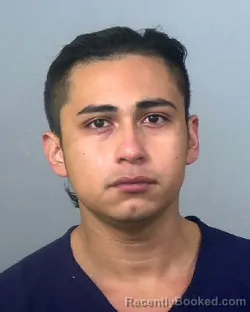 Mugshot of FRANCISCO ANTONIO ALVARENGA