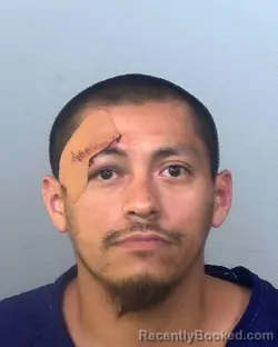Mugshot of JUAN FALCON