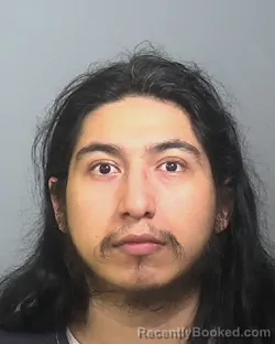 Booking photo from Manatee County, Florida