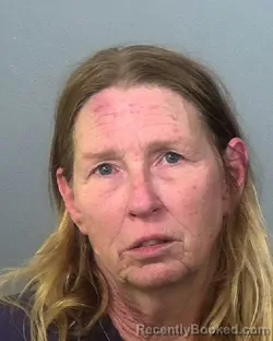 Mugshot of KELLY ANN LIGHTNER