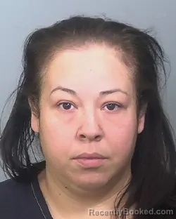 Mugshot of GABRIELA MESIDOR