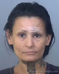 Booking photo from Manatee County, Florida