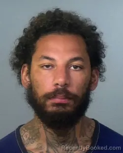 Mugshot of NELSON MEJIAS