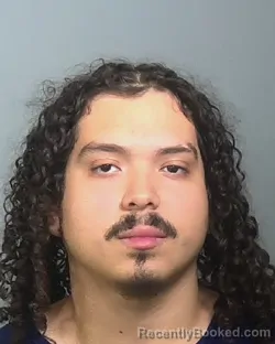 Mugshot of CARLES ALONSO PAZ ALVARADO